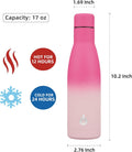 Metal Water Bottle, 500Ml Reusable Thermos, Stainless Steel Water Bottles Disawasher Safe, Cherry
