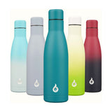 500Ml Insulated Water Bottle, Stainless Steel Reusable Metal Thermos, Leakproof Drink Bottles, Laguna