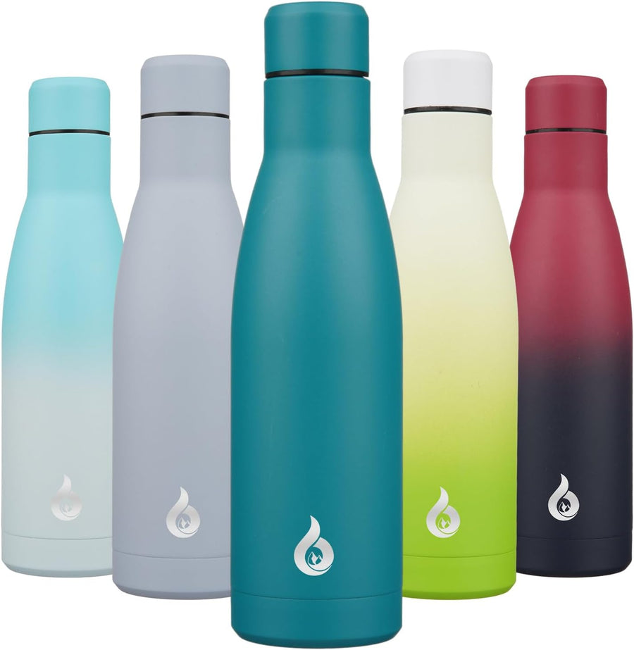 500Ml Insulated Water Bottle, Stainless Steel Reusable Metal Thermos, Leakproof Drink Bottles, Laguna