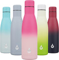 Metal Water Bottle, 500Ml Reusable Thermos, Stainless Steel Water Bottles Disawasher Safe, Cherry